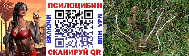 Галлюциногенные грибы ЛСД  площадка как зайти  Малмыж 
